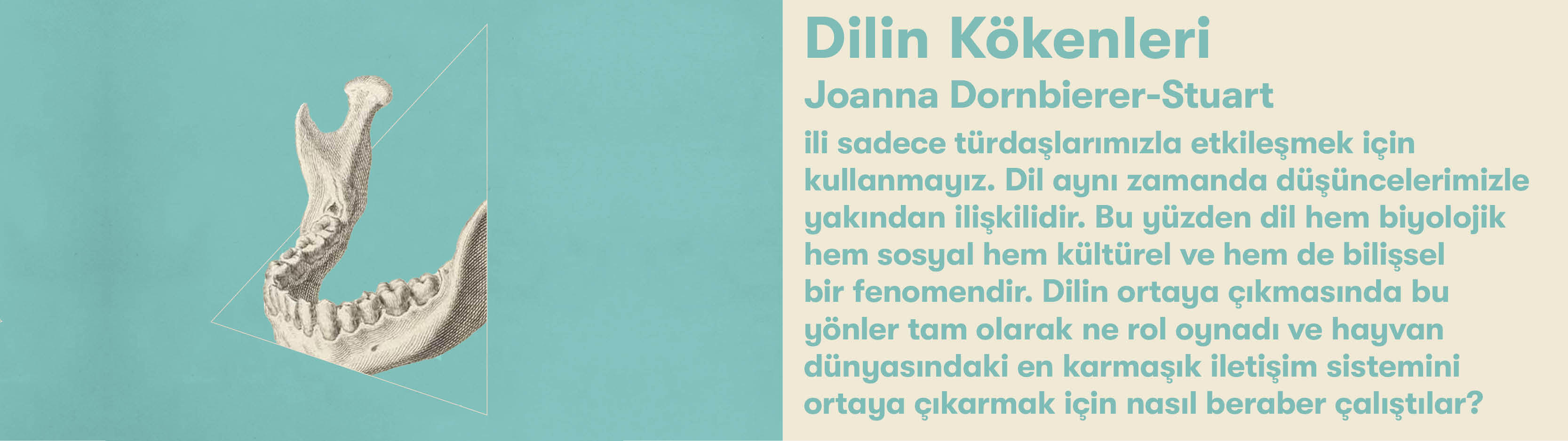 Dilin Kökenleri: Evrimsel Dilbilime Giriş